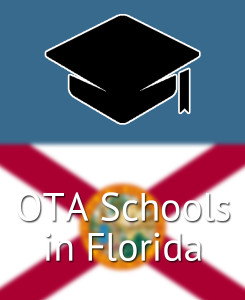 Compare OTA Bridge Programs in Florida